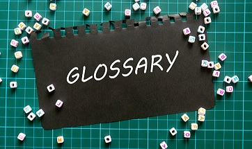 Glossary of Terms