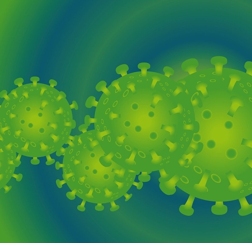 Current outbreak of Coronavirus (COVID-19) and travelling