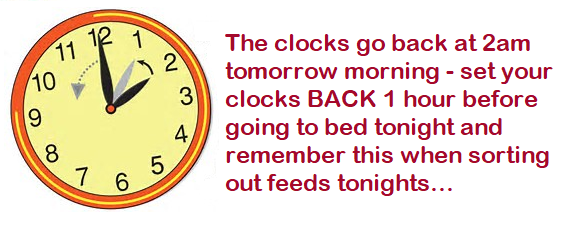 clocks-back.png