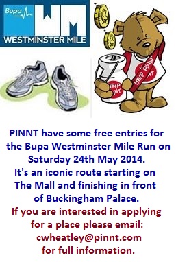 Bupa Westminster Mile ....